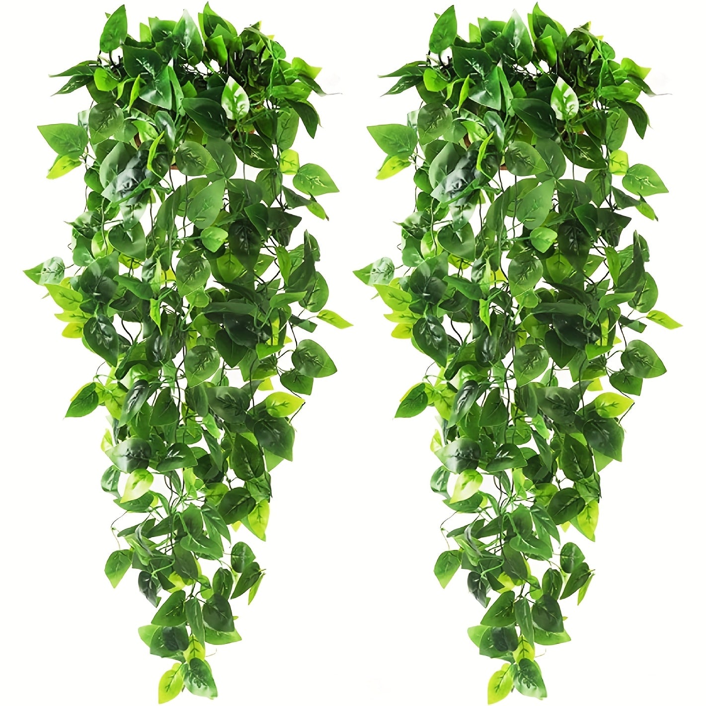 Artificial hanging pothos vine on a wall