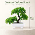 Compact faux bonsai tree in white pot