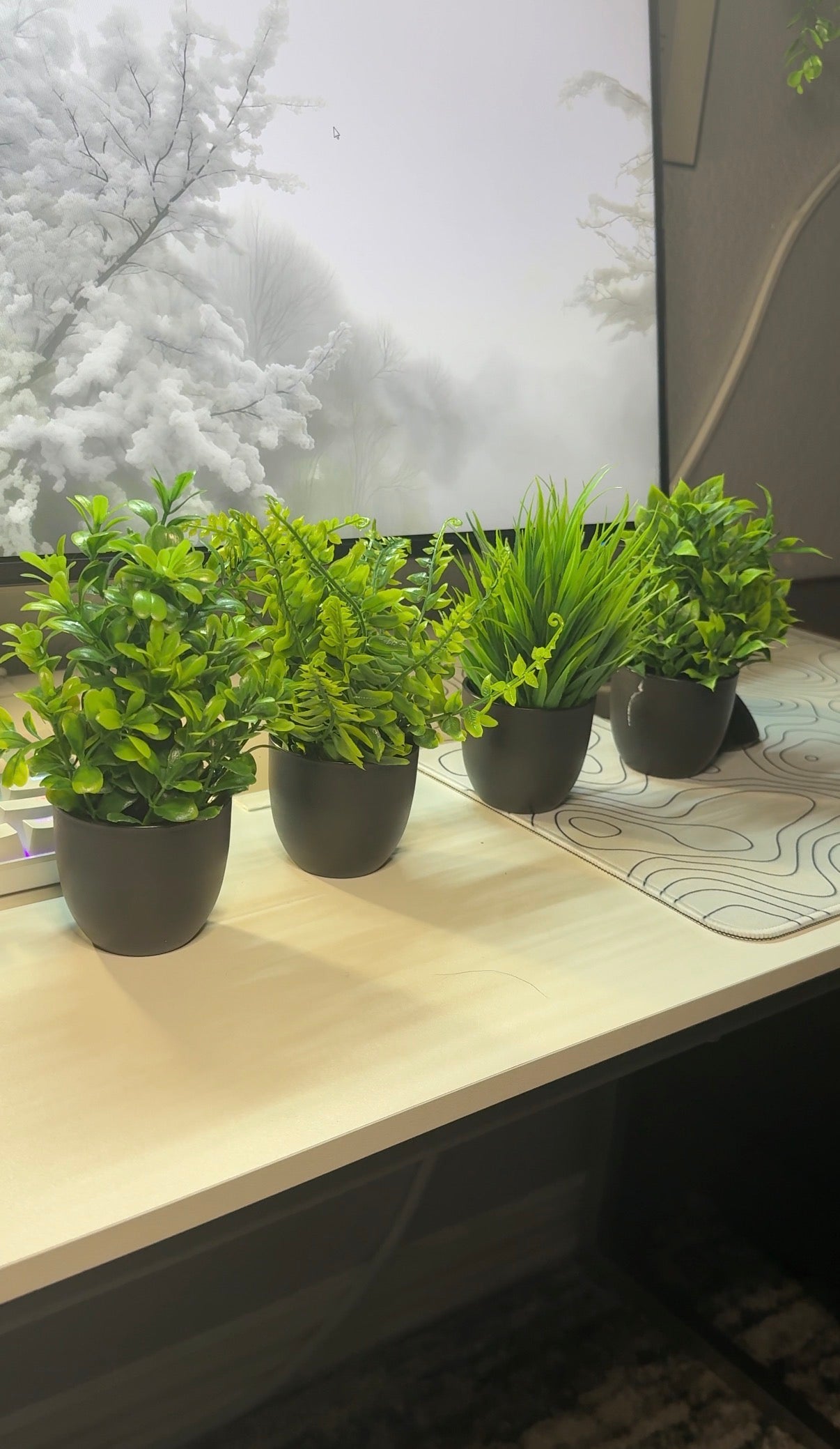 Faux Plants Set (4pc)