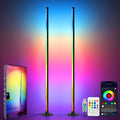 Smart LED Floor Lamp