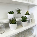 Geometric Planter Set (5pc)