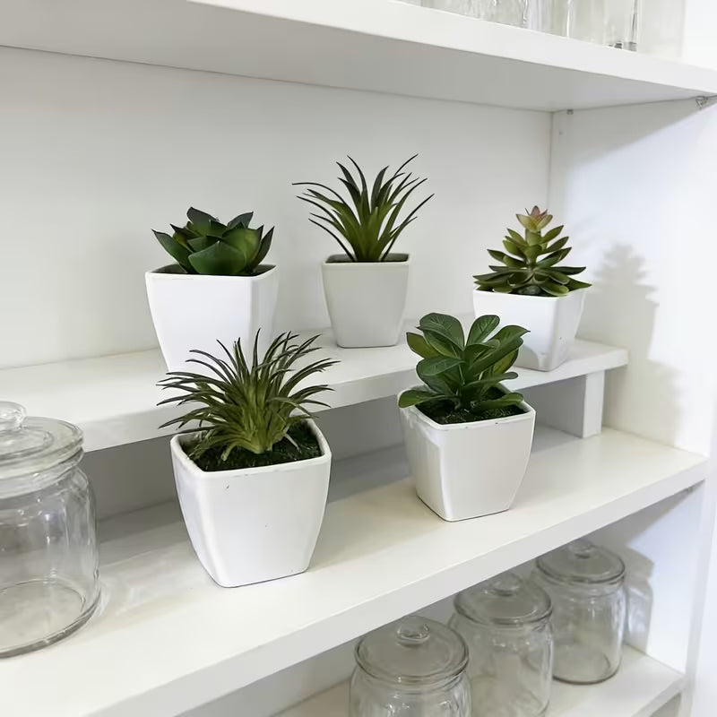 Geometric Planter Set (5pc)