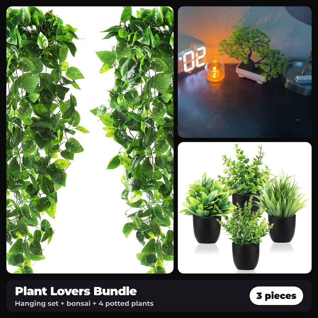 Plant Lovers Bundle: hanging plants, mini bonsai and 4 potted plants