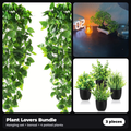 Plant Lovers Bundle: hanging plants, mini bonsai and 4 potted plants