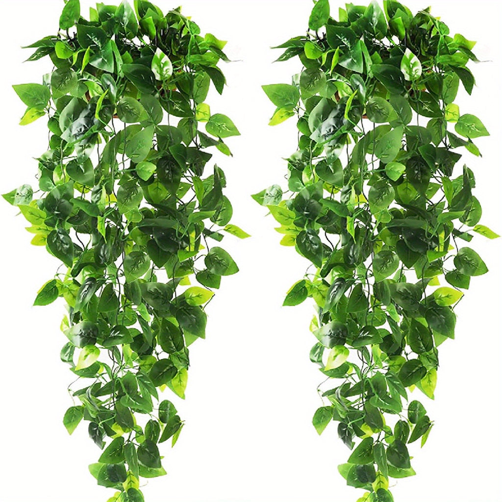 Hanging Plant Set (3pc)