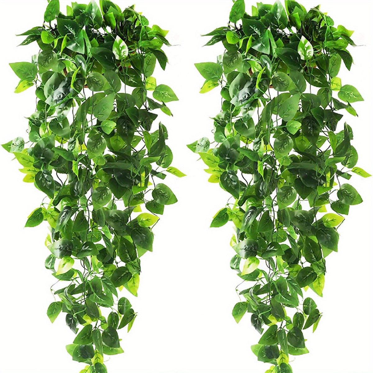 Hanging Plant Set (3pc)